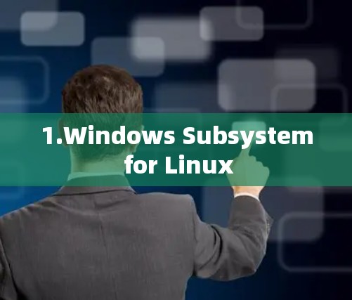1.Windows Subsystem for Linux