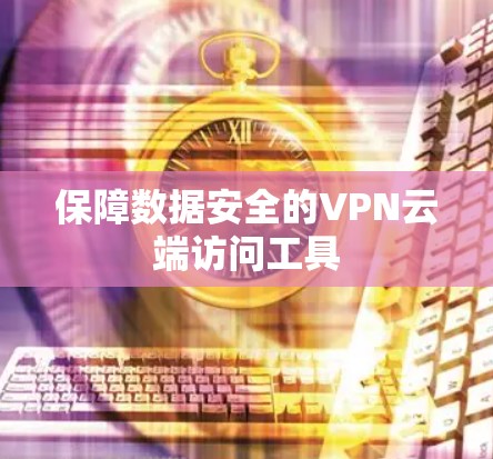 保障数据安全的VPN云端访问工具