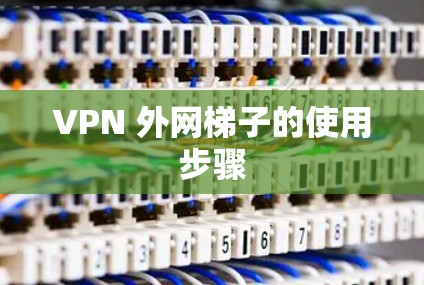 VPN 外网梯子的使用步骤