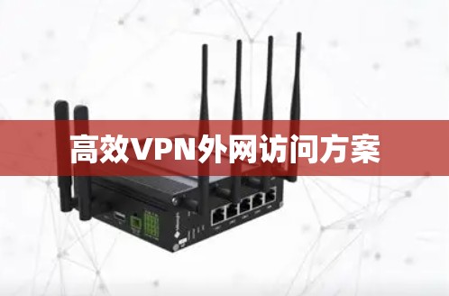 高效VPN外网访问方案