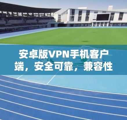 安卓版VPN手机客户端，安全可靠，兼容性强，提升数据传输效率