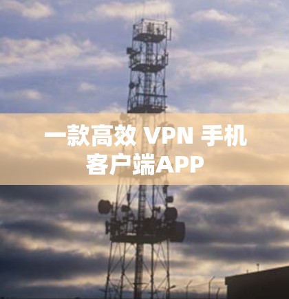 一款高效 VPN 手机客户端APP