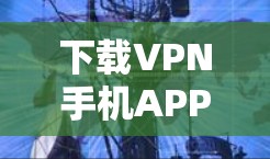 下载VPN手机APP是一个安全且实用的步骤，以下是一些步骤指南，帮助你顺利下载并使用VPN服务