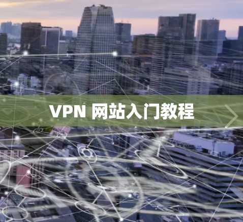 VPN 网站入门教程 VPN 网站入门教程