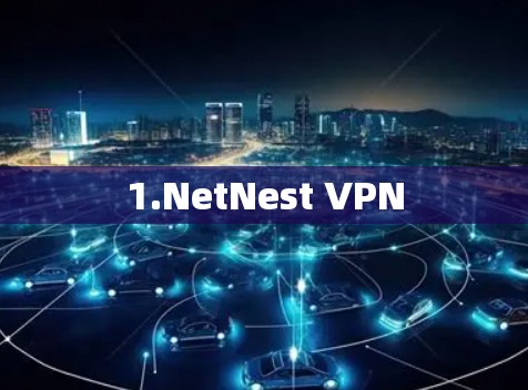 1.NetNest VPN 1.NetNest VPN